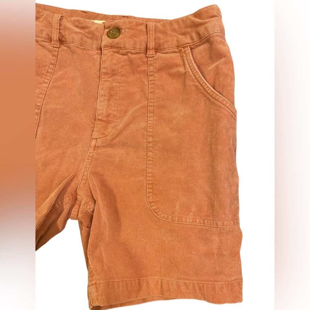 Marine Layer Corduroy Surf Short In Baked Clay View 4